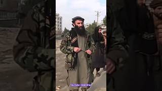 sher Panjsher Abdul Hamid Khurasani attitude status #taliban #shorts #shortvideo