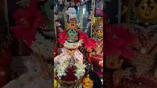 🪷దసరా ఏడవరోజు చదువుల తల్లి సరస్వతీదేవి🙏#viral video #saraswathidevi