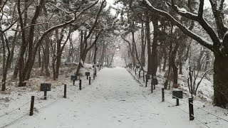 내주의 보혈은-123운동