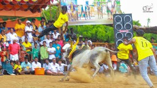 சொந்த மண்ணில் கெத்து காட்டிய மருதிப்பட்டி சரவணன் கொம்பன் காளை Vs தென்மாபட்டு அக்காசாலை விநாயகர்குழு