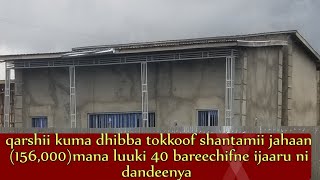 Qarshii kuma dhibba tokkoof shantamii jahaan(156,000) mana ajaa'iba ijaaru ni dandeenyaa