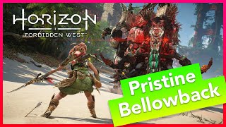 Runda's Salvage Contracts, Pristine Bellowback - Horizon Forbidden West