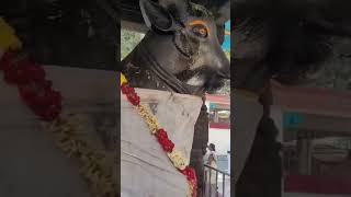 30 Siva kshetram/Sri Chandramouleeswarar temple/THIRUVAKKARAI/276 Paadal Petra Sthalam #shorts