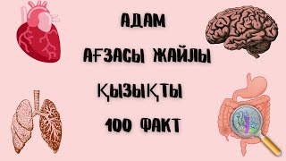 Адам ағзасы жайлы қызықты 100 факт| Егер адам 10 күн ұйықтамаса. . . | Қазақша