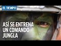 ¿Cómo se entrena un Comando Jungla del ejército de Colombia? | El Tiempo