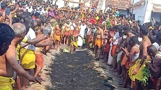 Nanjai Edayar, Sri Agni Maha Mariamman, 62 Feet long, Poomithi Thiruvila - பூ மிதி 27-Mar-2023