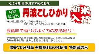 契約農家　たぶち農場　特別栽培米　丹波こしひかり