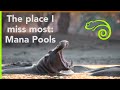 Lockdown reflections: Where I would rather be - Mana Pools
