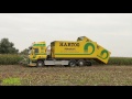 mais hakselen met claas jaguar 960 terra trac van hartog abbekerk