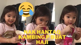 VIRAL! Adik yaya nak hantar kambing dengan tokma pegi buat haji