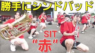 サザンオールスターズ/勝手にシンドバッド 【SITバンドダンプレ】 札幌国際情報高校吹奏楽部 Team “Red 29th”  月形刑務所矯正展 2024