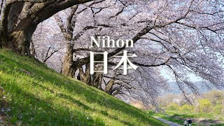 「日本」Nihon /Cover song by Yusuke Tominaga