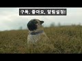 🍚쌀벌레 걱정 제로 초강력 진공쌀통 top3 10kg~20kg 쌀보관통 미락진공쌀통 아이오진공쌀통 보만 진공쌀통 쌀벌레 없애는 법