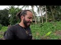 j irai dormir chez un rasta en jamaïque 🇯🇲