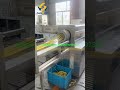 Pasta production line, customers visit the factory#productionline #extruder #foodextruder #factory