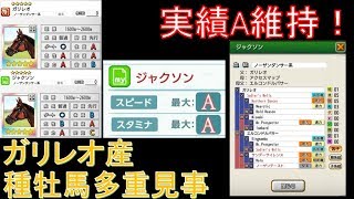 【ダビマス】ガリレオ自家製種牡馬多重見事配合5発で奇跡を起こす！【第123回ダービースタリオンマスターズ攻略】