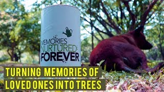 Turning Memories of Loved Ones Into Trees