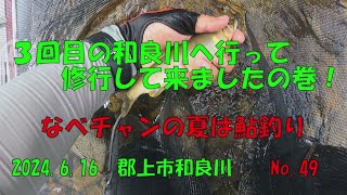 ３回目の和良川で修行して来ましたの巻‼　なべチャンの夏は鮎釣り　No.49　2024 .6. 16　和良川