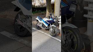 SUZUKI　RG250γ　ガンマ　スズキ　2024年10月31日