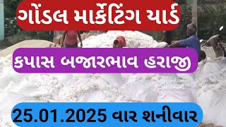 નવા કપાસ બજાર ભાવ | આજના કપાસ ના ભાવ | કપાસ ના ભાવ ગોંડલ | Gondal market yard | 25.01.2025 kapas|