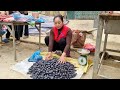 Harvest Palm Fruit To the market to sell - Daily Life