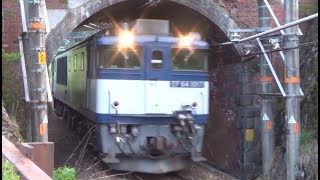 国鉄最後の電気機関車【EF64  1017号機　単機でやって来ました😊】EF 64 1017 Pass through a small tunnel.