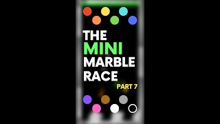 The Mini Marble Race (Part 7/11)