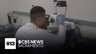 Federal funding fight could impact critical UC Davis research