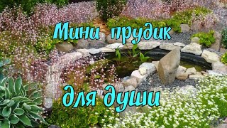 Мини прудик для души.