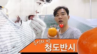 [태안농협] 추억의 맛 반시에 반하나?