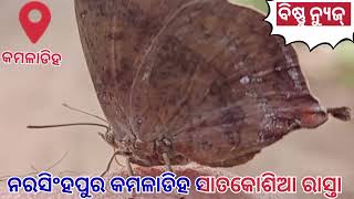 ନରସିଂହପୁର କମଳାଡିହ ସାତକୋଶିଆ ରାସ୍ତା ଓ ପ୍ରାକୃତିକ ସୌନ୍ଦର୍ଯ୍ୟର ଦୃଶ୍ୟ ଅତ୍ୟନ୍ତ ମନୋରମ,।।