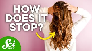 Does Hair Ever Stop Growing?