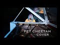 Twenty One Pilots - Pet Cheetah Acoustic Cover