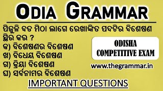 ଓଡ଼ିଆ ଗ୍ରାମାର ଜିକେ Odia grammar short questions || odia grammar mcq set || odia grammar gk |