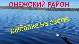 ОНЕЖСКИЙ РАЙОН // КАТАЮСЬ ПО ОЗЁРАМ С УДОЧКОЙ