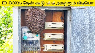 EB Boxல் தேன் கூடு | திறந்தால் கொட்டும் தேனீக்கள் 🐝🐝 |Bee colony Removal Video | Coimbatore