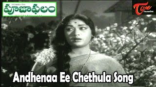 Pooja Phalam Movie Video Songs | Andhenaa Ee Chethula | ANR | Savitri | Jamuna