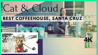 Daisy's Diary: The Best Coffee/Coffeehouse in Santa Cruz, Cat \u0026 Cloud, Coffee \u0026 Good Eats 4K