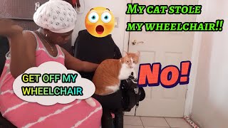 My cat stole my wheelchair | Woman with Cerebral Palsy | Ms Unstoppable