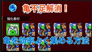 【モンスト】効率よく亀を集める方法！運極orモンストの日推奨