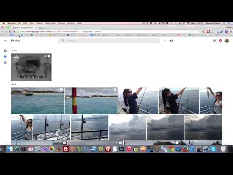 How To Access Google Photos From Your Desktop or Google Drive How To Access Google Photos From Your Desktop or Google Drive