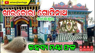 KHIRACHORA GOPINATH TEMPLE | ନାଗେଶ୍ବର ବଟ ବୃକ୍ଷର ରହସ୍ୟ କଣ | @Wiseojhavlogs