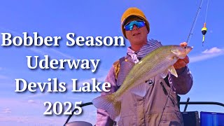 Fishing Devils Lake Spring Walleyes 2025
