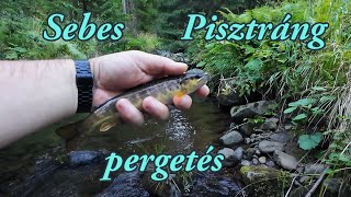 Fishing for trout in small mountain creek (episode 1)