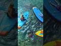 Paddle Surf 10 pies #ITWIT #standuppaddle #paddleboarding #sup #Decarhlon