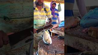 அற்புதமான மீன் வெட்டு 🔥🔥🔥 | amazing fish cutting #shorts