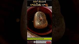 నీటిలో తేలియాడే రామసేతు రాళ్లు - Short 21 Ramasetu Floating Stones