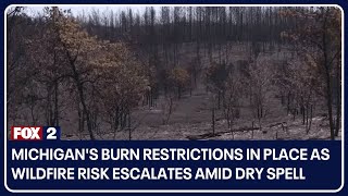 Michigan's burn restrictions in place as wildfire risk escalates amid dry spell