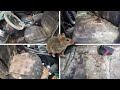 Deep Cleaning MOLDY Car w/ MOUSE Infestation!!! Epic Auto Detailing/Restoration Challenge.