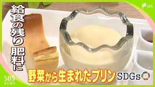 「もったいない」の精神から生まれたカフェスイーツ 保育園給食の生ごみ肥料でサツマイモ収穫【SDGs】